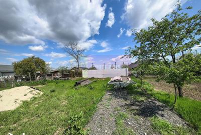 Teren de 1700 mp, în Cernica - 18