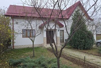 Casa 197 mp, garaj, foisor, gratar, teren 780 mp la 100 m de DN 4 - 1