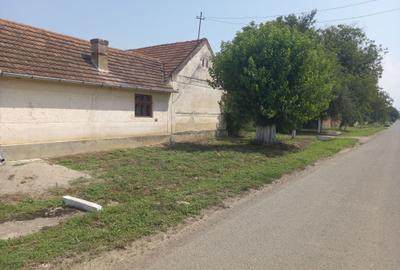 Casă cu 3 camere cu Teren 3956 Mp în Chelmac - 6