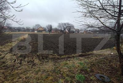 Casa Central in Radau?i, teren 1500 mp - 7