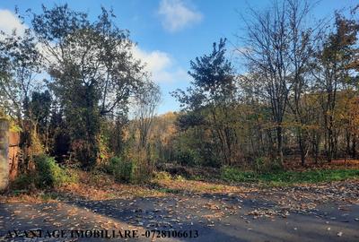 Teren în Ghermănești - 3