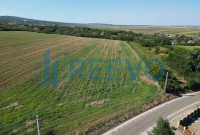 Teren de vanzare, Com. Sarata, Jud. Bacau - 3