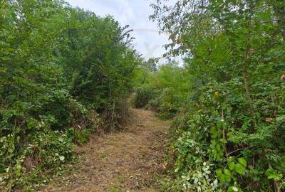 Teren de 2552 mp, în Moșoaia - 4