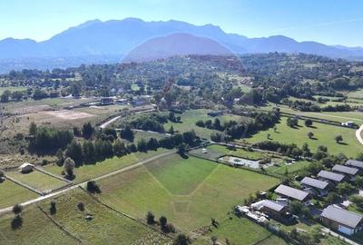 Teren Construcții intravilan de 6648 mp, în Tohanu Nou - 1