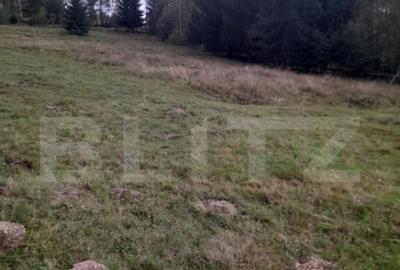 Teren intravilan de vanzare, 2280 mp, Vatra Dornei - 3