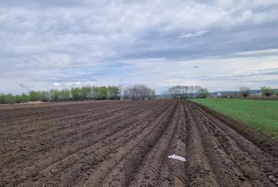 Spațiu comercial, în Rădăuți - 8