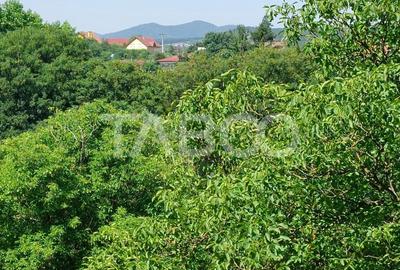 Teren intravilan oportunitate investitie parcelabil 7200 mp Cisnadie Teren intravilan oportunitate investitie parcelabil 7200 mp Cisnadie - 3