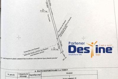 Teren de 8100 mp, în Dumești - 3