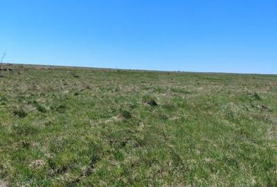 Teren de 8200 mp, în Ciurila - 2