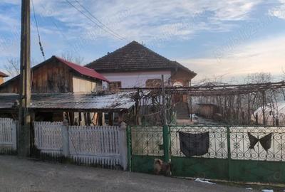 Casă cu Teren 5000 Mp în Roșia de Amaradia - 9