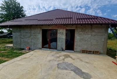 Oaza de liniste: casa cu livada si teren generos - Girov - 36