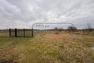 Teren agricol intravilan de 3200 mp, în Șag - 4