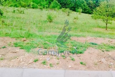 Teren Construcții intravilan de 1114 mp, în Hidișelu de Sus - 2