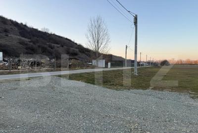 Teren de 4307 mp, în Podari - 4