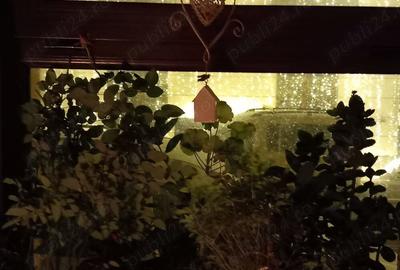 Casă cu 3 camere cu Teren 1520 Mp în Iancului - 6