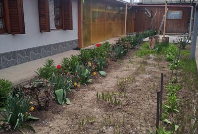 Casă cu 4 camere în Bogdan Vodă - 3