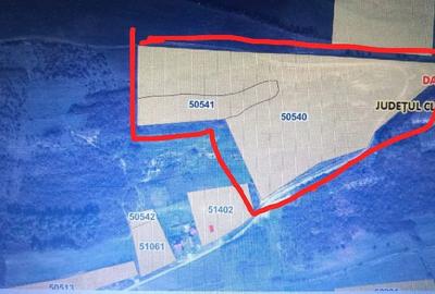 Teren de 45000 mp, în Central