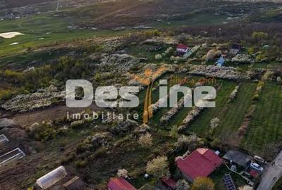 Teren în Central