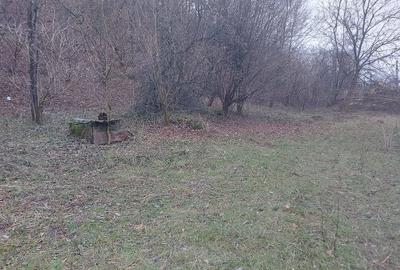 Teren de 8800 mp, în Nojag - 5