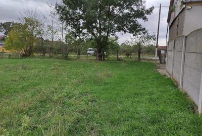 Teren de 1460 mp, în Măureni - 7