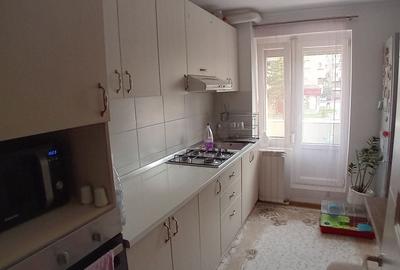 Apartament cu 3 camere decomandat în Nufărul - 3