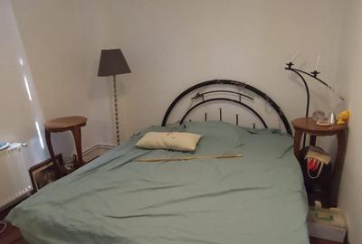 Vila interbelica cu terasa-restaurant in functiune zona Blv Marasesti Bucuresti - 22