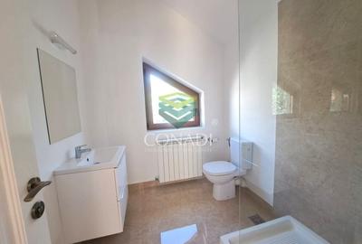 Baneasa-padure, vila de inchiriat, 500 mp utili - 12