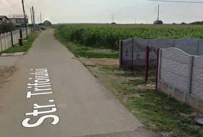 Spațiu comercial, în Bărcănești