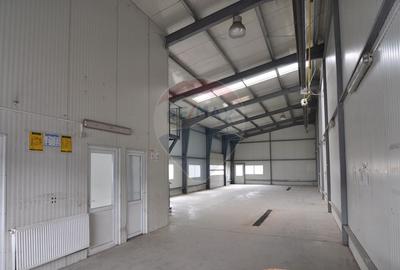 Spațiu industrial, de 248 mp, în Goranu - 2