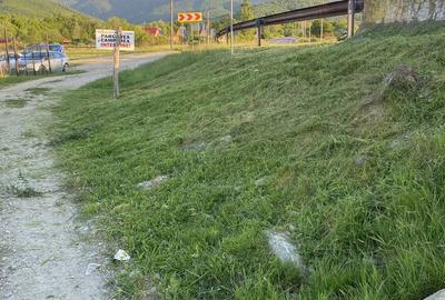 Spațiu comercial, în Cârțișoara - 8