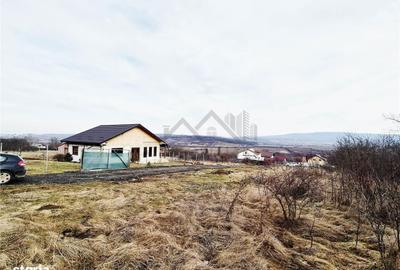 Spațiu comercial, în Ciurea - 2