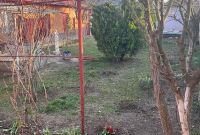 Casă cu 5 camere în Plosca - 5