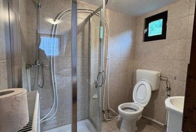 Cabana de 210mp, 2600 mp teren, in Rachitele - 3