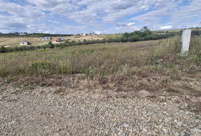 Teren Construcții intravilan de 680 mp, în Săldăbagiu de Munte - 2