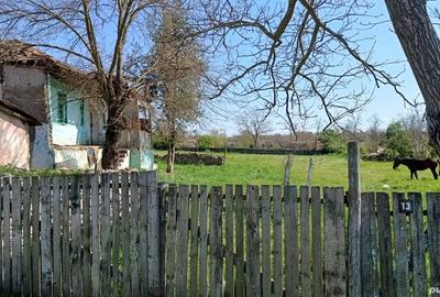 Vand casa batraneasca - 1