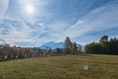 5800 mp fineata, pretabil camping, constructii A-frame, Sohodol, Bran - 5