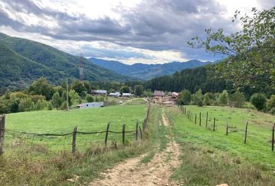 Teren de 4420 mp, în Vinețisu - 6