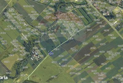 Spațiu comercial, în Șelimbăr - 3