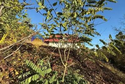 Teren de 1543 mp, în Central - 2