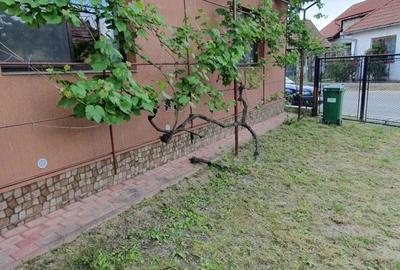 Casă cu 4 camere în Crasna - 1