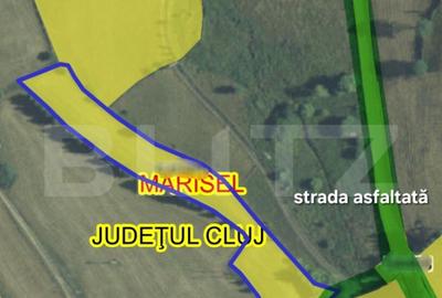 Teren parcelabil, front la strada, 3269mp, utilitati in zona - 2