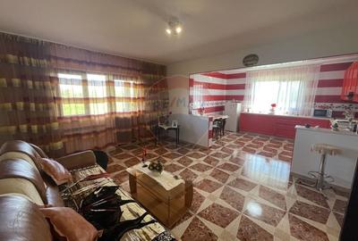Casa / Vila cu teren Calineii Noi - 9