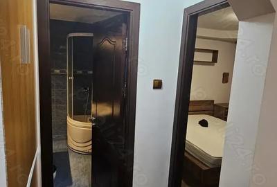 Apartament cu 2 camere decomandat în Balș - 9