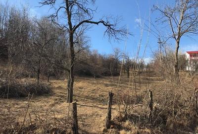 Teren Breaza 4400 mp Teren Breaza 4400 mp - 2