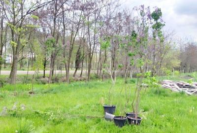 Spațiu comercial, în Joița - 10