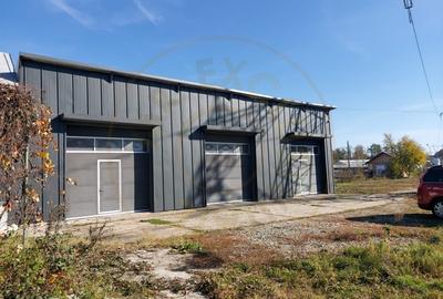 De inchiriat: Hale si locuinta pe 3 000 mp/ Bascov - Arges - 2