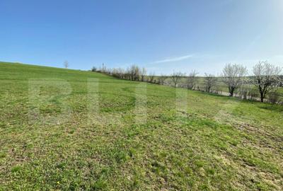 Casa cu 10000mp de teren in Buza, la 50 km de Cluj-Napoca - 9