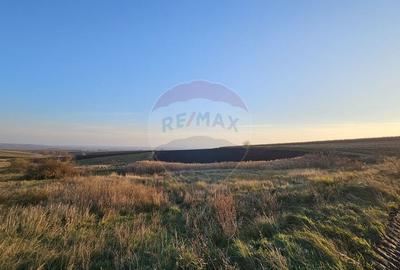 Teren extravilan 30077mp Stroiesti / Soseaua DN17, Suceava - 8