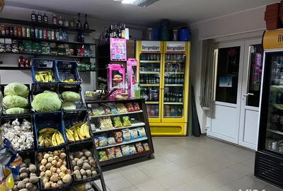 PROPRIETAR, Vand casa + 1800 mp teren + afacere la cheie - 2