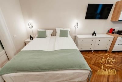 Apartament cu o camera de inchiriat 40mp in zona ultracentrala- Oradea - 16